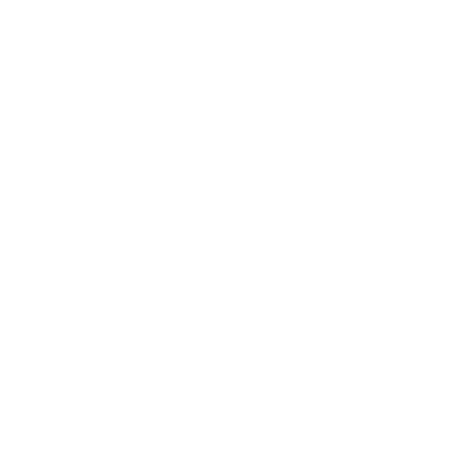 Cat Icon