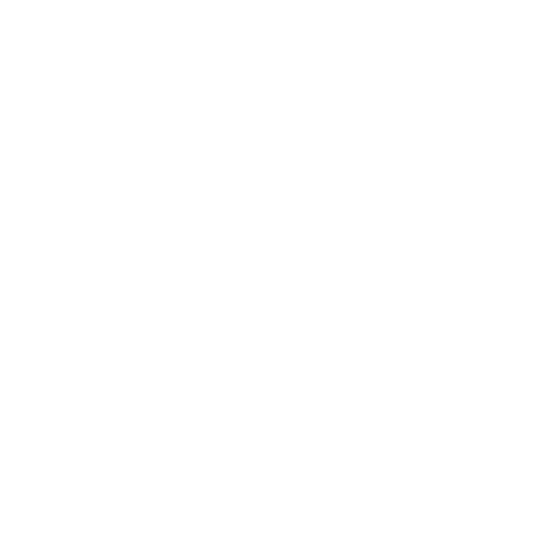 Diagnostics Icon
