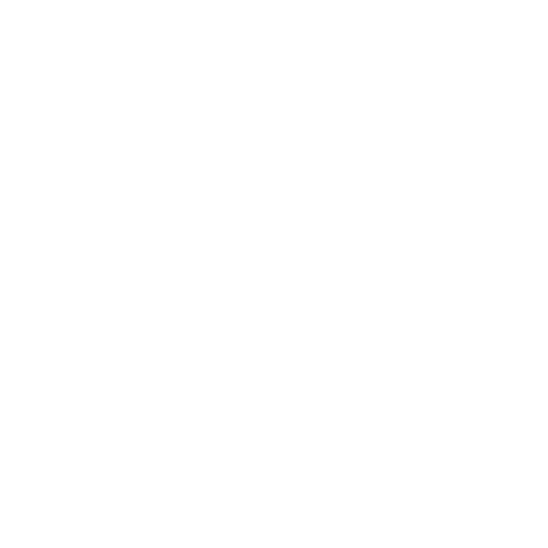 Pet Cardiology Icon