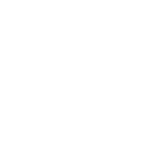 Pet Pain management Icon