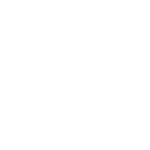 Pet Ultrasound Icon