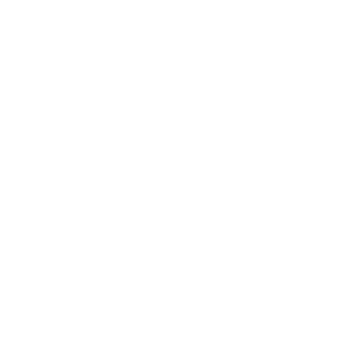 Pet Wellness Icon