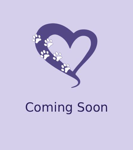 Profile image placeholder