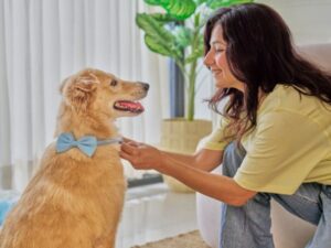 Woman dresses dog in bow-tie