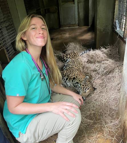 Vet and jaguar resting